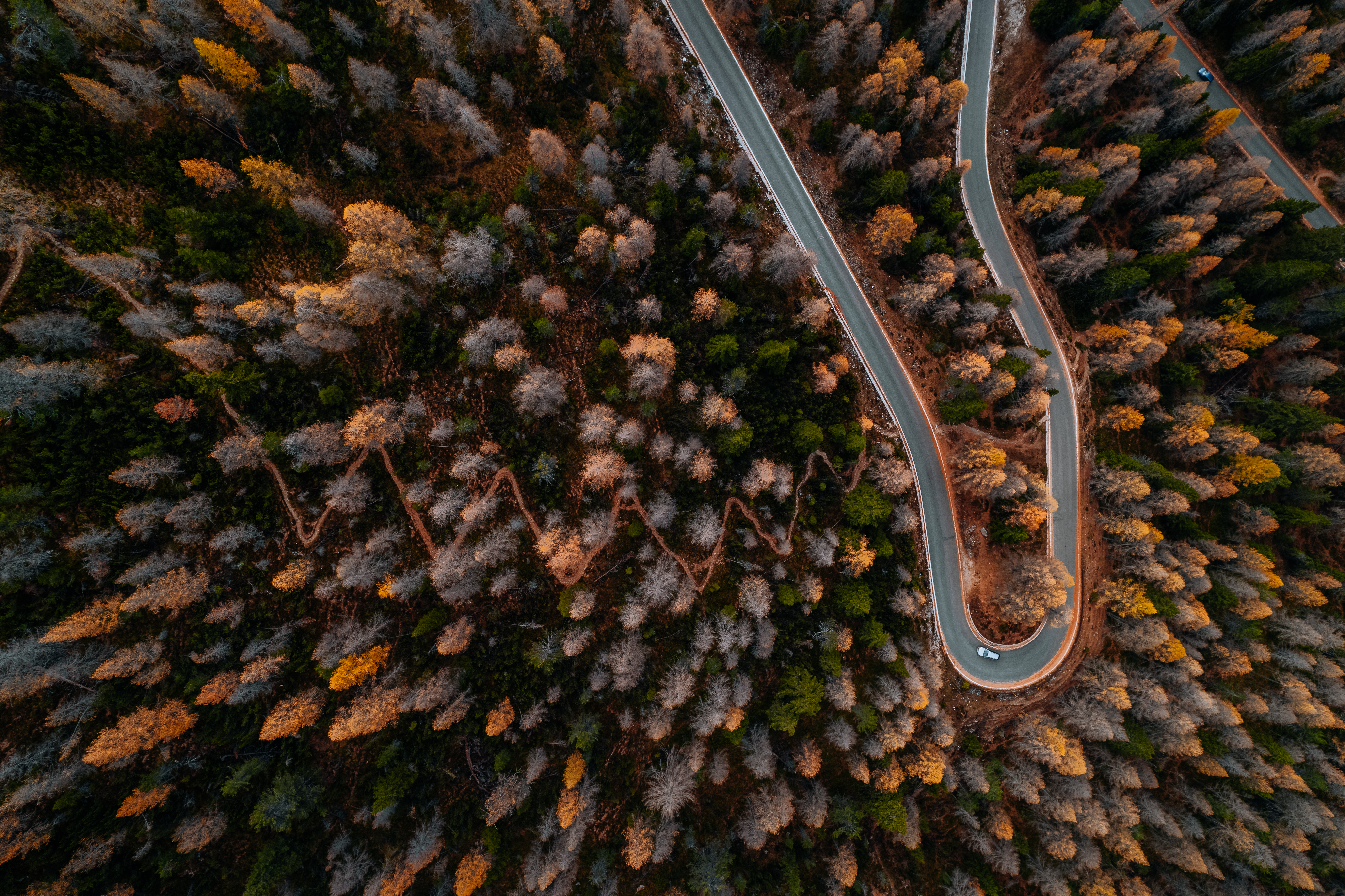 Vista aérea de una carretera de montaña entre bosque otoñal